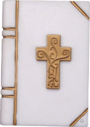 Bible with Gold Cross Cheap