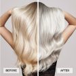 Natural Look Silver Screen Ice Blonde Smooth Ends 150ml Supply