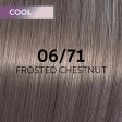 Wella Shinefinity 06 71 Frosted Chestnut 60ml Sale